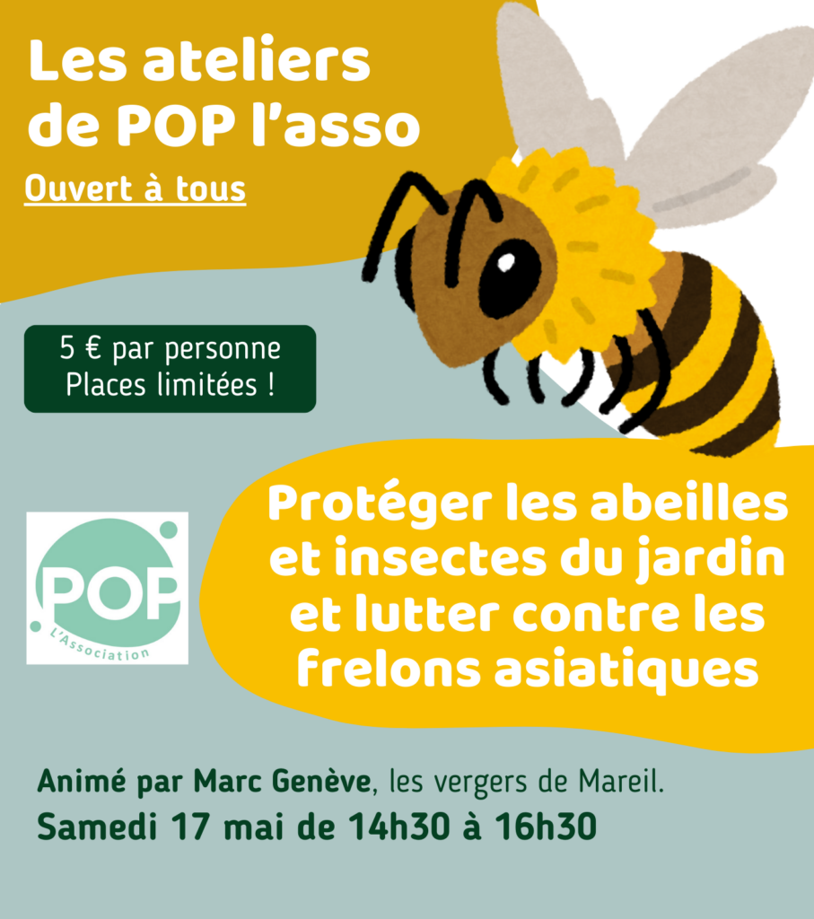 Atelier : Protéger les abeilles et insectes du jardin